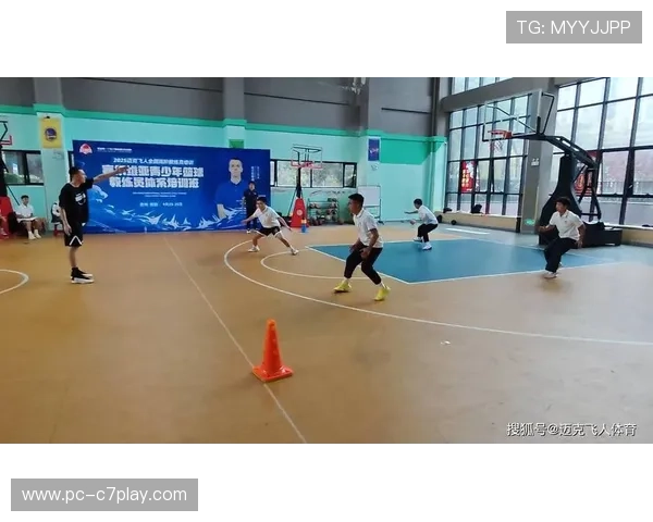 青少年篮球培训体系完善促进基层教练员培养质量全面提升路径研究 青少年篮球培训体系完善促进基层教练员培养质量全面提升路径研究